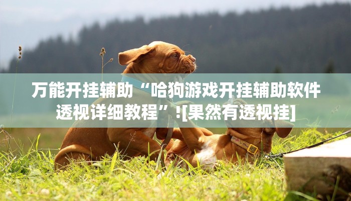 万能开挂辅助“哈狗游戏开挂辅助软件透视详细教程”![果然有透视挂]