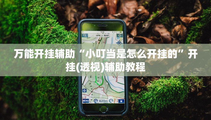 万能开挂辅助“小叮当是怎么开挂的”开挂(透视)辅助教程