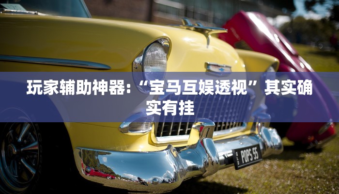 玩家辅助神器:“宝马互娱透视”其实确实有挂 玩家辅助神器:“宝马互娱透视”其实确实有挂