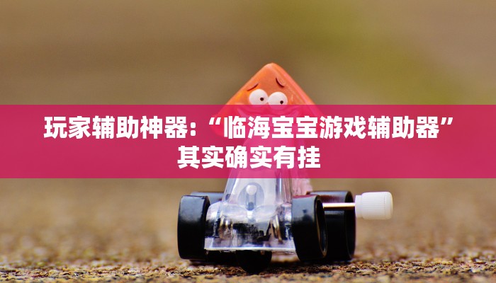 玩家辅助神器:“临海宝宝游戏辅助器”其实确实有挂