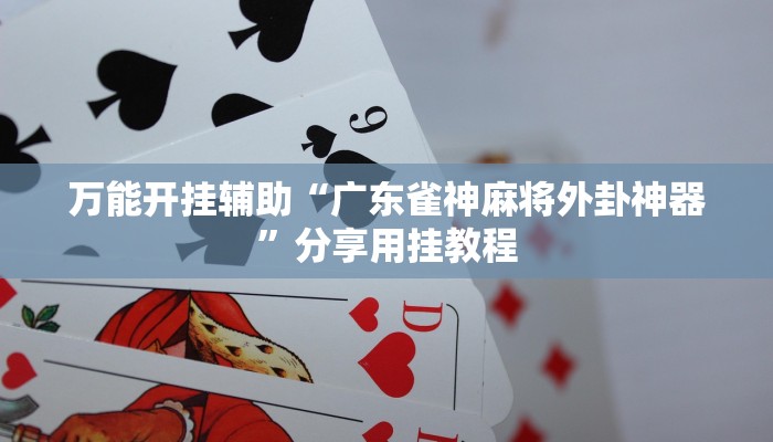 万能开挂辅助“广东雀神麻将外卦神器”分享用挂教程