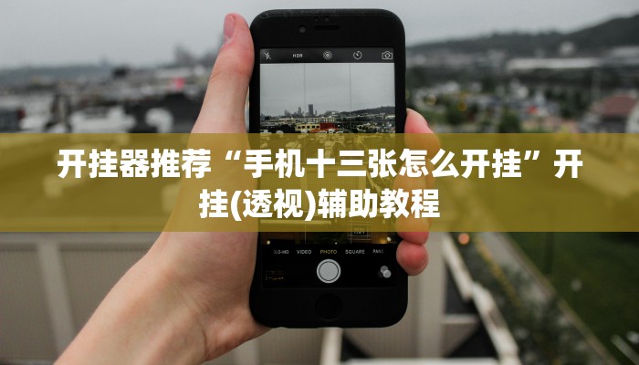 开挂器推荐“手机十三张怎么开挂”开挂(透视)辅助教程