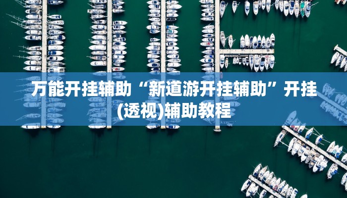 万能开挂辅助“新道游开挂辅助”开挂(透视)辅助教程