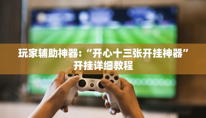 玩家辅助神器:“开心十三张开挂神器”开挂详细教程