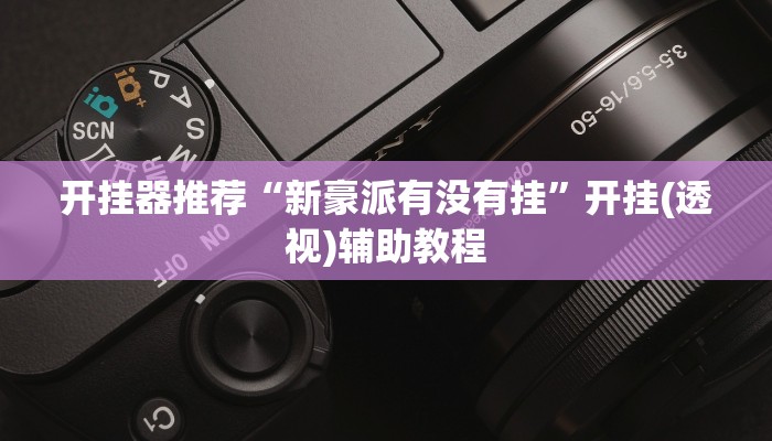 开挂器推荐“新豪派有没有挂”开挂(透视)辅助教程