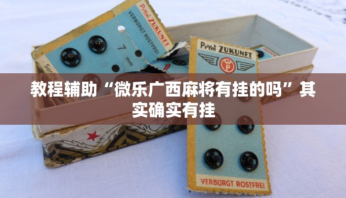 教程辅助“微乐广西麻将有挂的吗”其实确实有挂